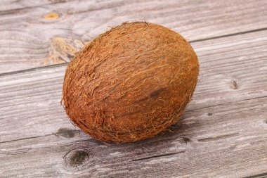 Arka planda tropik kahverengi hindistan cevizi izole edildi