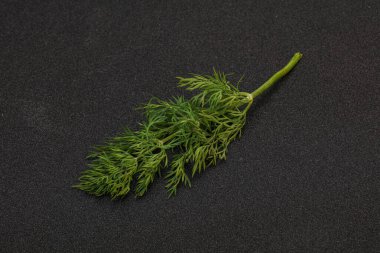 Aroma çeşnisi - Arkaplanda Yeşil Dill dalı