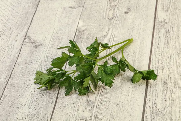 Aroma Grüne Frische Petersilie Zweigkraut — Stockfoto