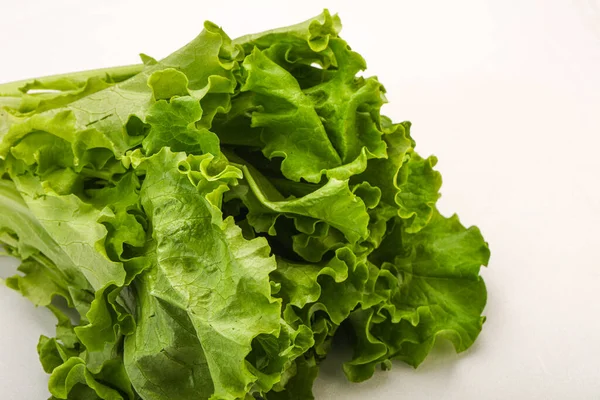 Cuisine Végétalienne Feuilles Salade Laitue Verte — Photo
