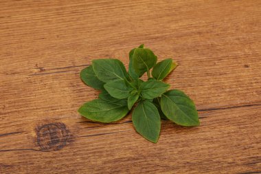 Aroma çeşnili - dalda yeşil fesleğen yaprakları