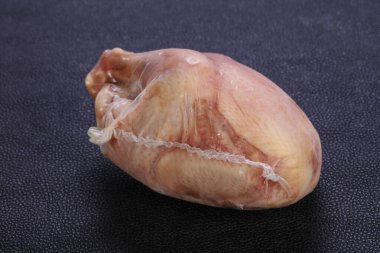 Sürü içinde çiğ küçük tavuk