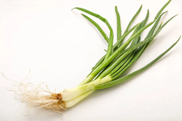 Jovem Fresco Saboroso Tempero Cebola Verde — Fotografia de Stock