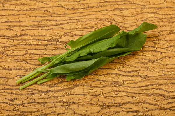 Аромат Зеленой Травы Щавеля — стоковое фото