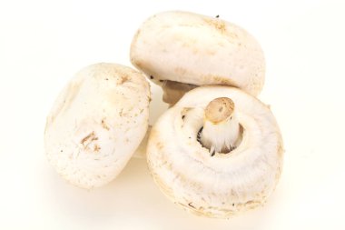 Raw Champignon hurdalığı yemek yapmaya hazır.