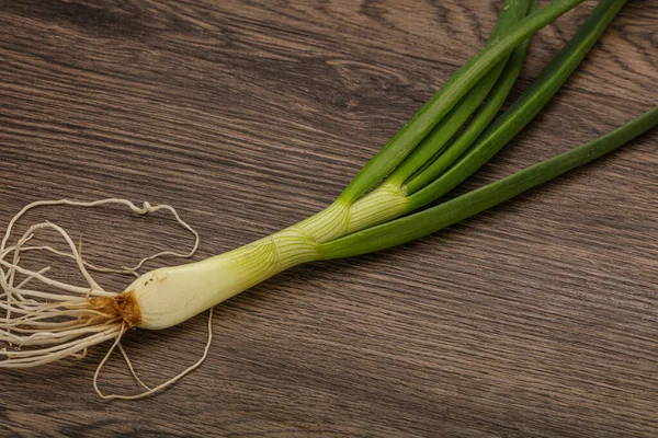 Ung Färsk Välsmakande Grön Lök Smaksättning — Stockfoto