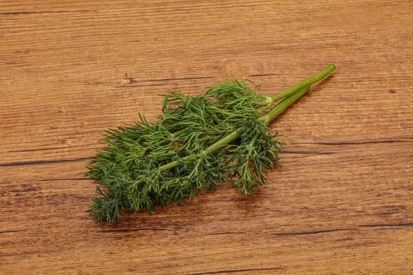 Aroma Tempero Green Dill Ramo Sobre Fundo — Fotografia de Stock