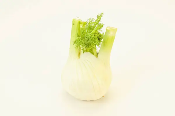 Alimentos Veganos Orgânicos Raiz Erva Doce Para Cozinhar — Fotografia de Stock
