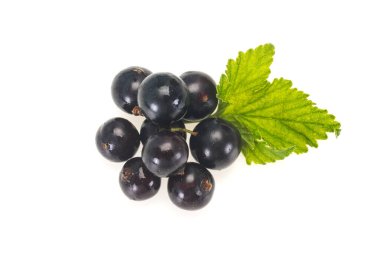 Taze taze siyah frenk üzümü