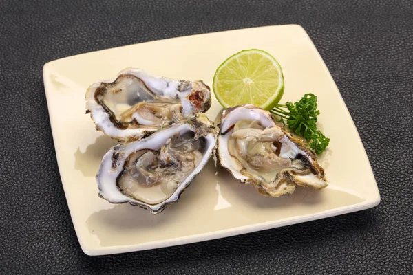 Fresh Oysters Lime Parsley — Stock Photo, Image