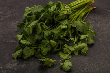 Aroma yeşil kişniş ya da kişniş yaprağı yığını