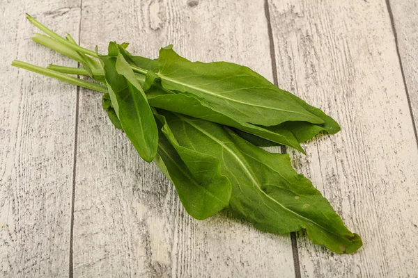 Aroma Alcateia Ervas Frescas Azeda Verde — Fotografia de Stock