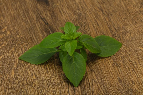 Daun Hijau Segar Basil Ramuan Untuk Memasak — Stok Foto