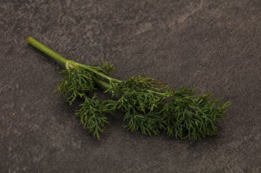 Aroma çeşnisi - Arkaplanda Yeşil Dill dalı