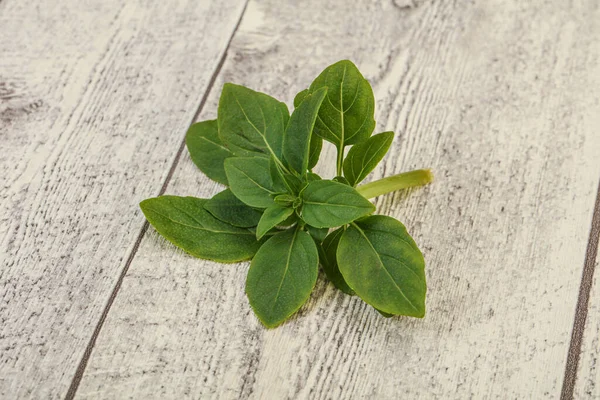 Aroma Seasoning Green Basil Leaves Branch — Stock Photo, Image