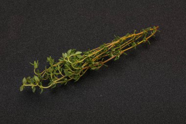 Aroma yiyeceği Taze yeşil kekik dalı