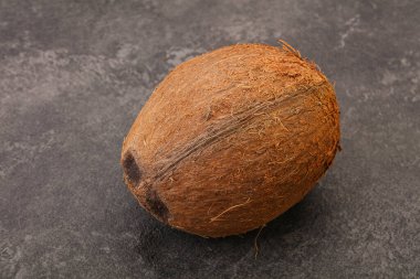 Arka planda tropik kahverengi hindistan cevizi izole edildi