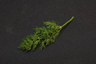 Aroma çeşnisi - Arkaplanda Yeşil Dill dalı