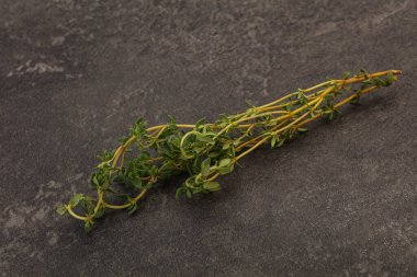 Aroma yiyeceği Taze yeşil kekik dalı