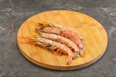 Lezzetli büyük Langoustine deniz ürünleri.