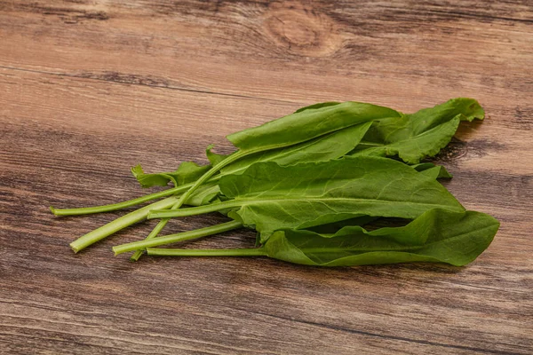 Aroma Färska Gröna Sorrel Ört Hög — Stockfoto