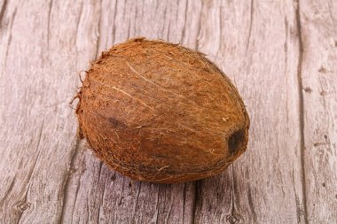 Arka planda tropik kahverengi hindistan cevizi izole edildi