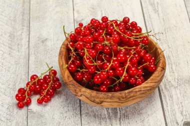 Tatlı taze kırmızı frenk üzümü