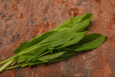 Aroma Taze yeşil kuş sürüsü