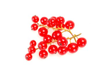 Tatlı taze kırmızı frenk üzümü