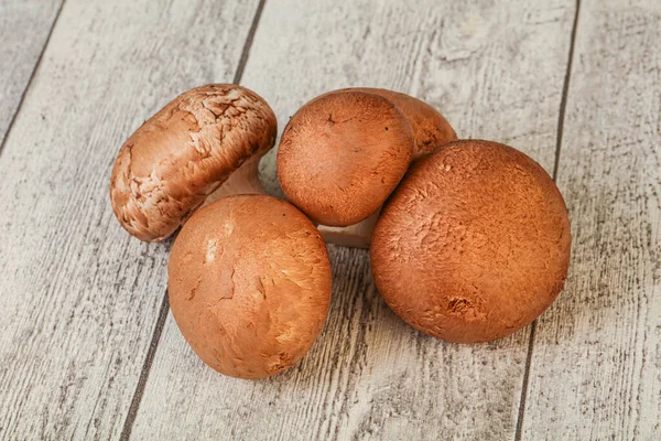 Chutné Syrové Brown Champignons Přes Pozadí — Stock fotografie