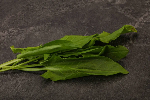 Aroma Fresh Green Sorrel Herb Heap — Stock Photo, Image