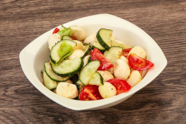 Sebzeli salata ve mozarlla peyniri.