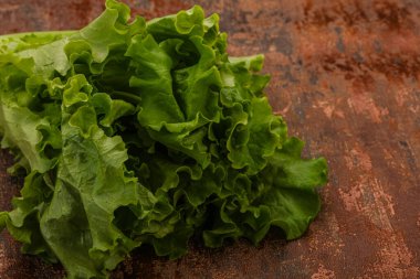 Vejetaryen mutfağı - Yeşil salata yığını yaprakları