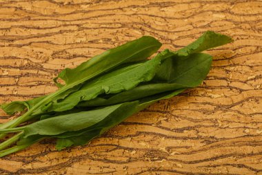 Aroma Taze yeşil kuş sürüsü