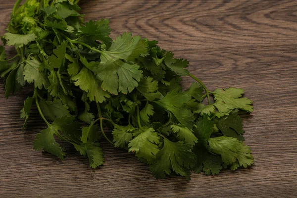 Aroma Coentro Verde Cilanto Folhas Amontoado — Fotografia de Stock