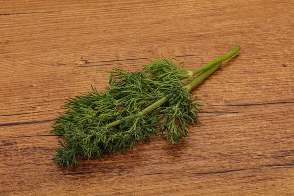 Aroma Tempero Green Dill Ramo Sobre Fundo — Fotografia de Stock