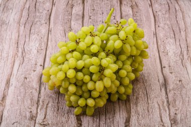 Arka planda tatlı yeşil üzüm dalı