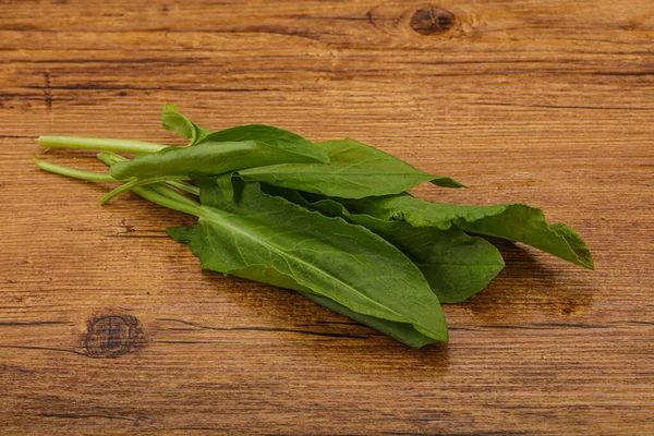 Aroma Fresh Green Sorrel Herb Heap — Stock Photo, Image