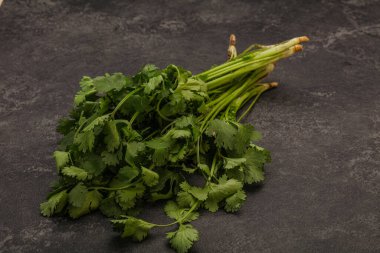 Aroma yeşil kişniş ya da kişniş yaprağı yığını