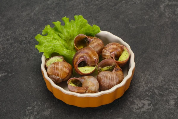 French Cuisine Escargot Butter Sauce — Stock Photo, Image