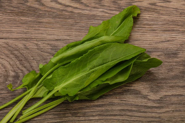 Aroma Frisch Grüner Sauerampfer Kräuterhaufen — Stockfoto