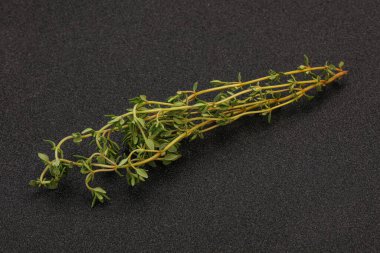 Aroma yiyeceği Taze yeşil kekik dalı