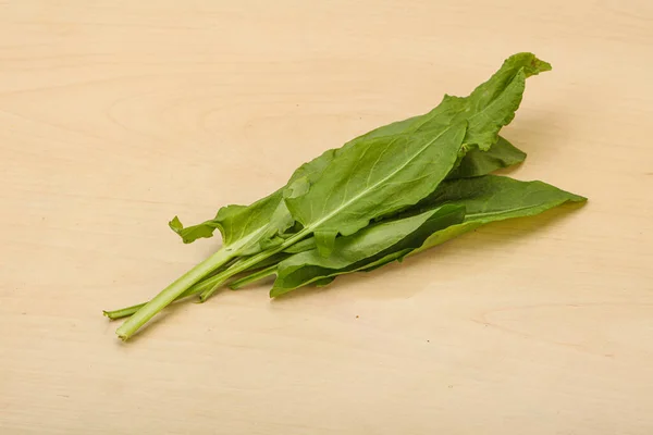 Aroma Fresh Green Sorrel Herb Heap — Stock Photo, Image