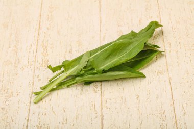 Aroma Taze yeşil kuş sürüsü