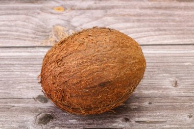 Arka planda tropik kahverengi hindistan cevizi izole edildi