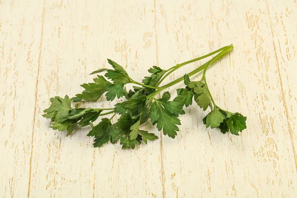 Aroma Green Fresh Parsley Branch Herb — Stock Photo, Image
