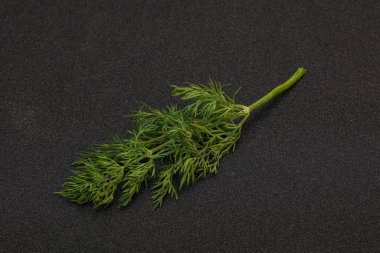 Aroma çeşnisi - Arkaplanda Yeşil Dill dalı