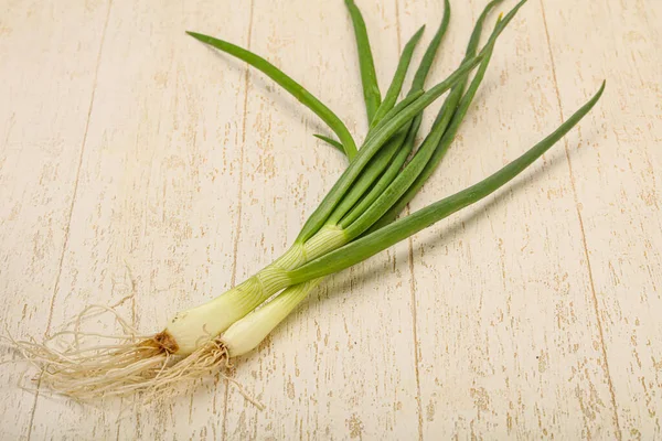 Young Fresh Tasty Green Onion Seasoning — Stock Photo, Image