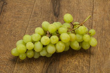 Olgun taze yeşil üzüm dalı