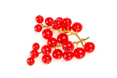 Tatlı taze kırmızı frenk üzümü